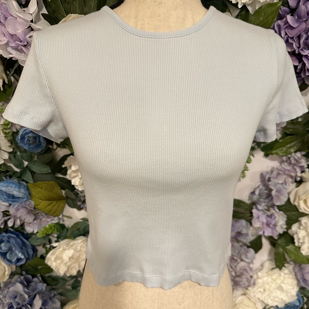 Divided Cropped Light Blue Top